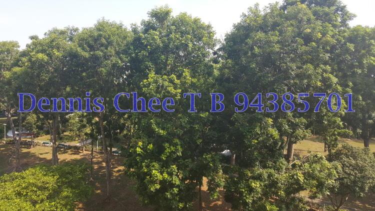 Blk 459 Pasir Ris Drive 4 (Pasir Ris), HDB Executive #79281472